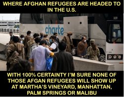 Afghan refugees Meme Template
