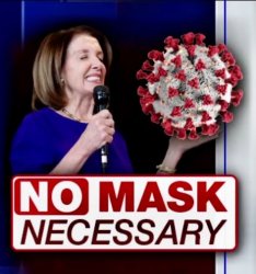 Pelosi no mask necessary Meme Template