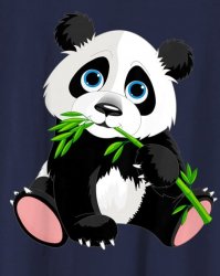 cute panda Meme Template