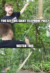 You See This Giant Telephone Pole? Meme Template