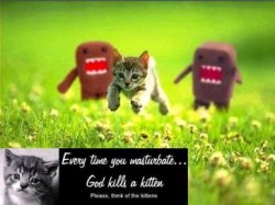every time you masturbate god kills a kitten Meme Template