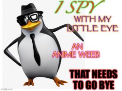 No anime penguin Meme Template