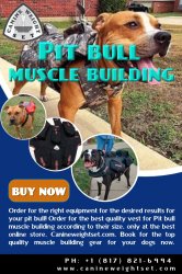 Pit bull muscle building Meme Template
