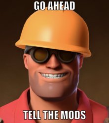 Go ahead, tell the mods. Meme Template