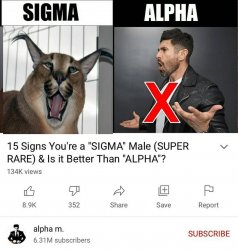 15 signs you're a sigma male is it better than alpha male Meme Template