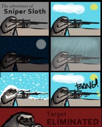 The adventures of sniper sloth Meme Template