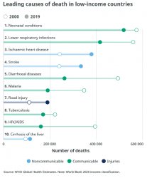 Causes of Death Meme Template