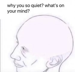 what's going on in your mind Meme Template