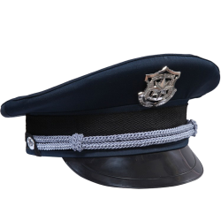 police hat Meme Template