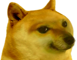 Doge kid Meme Template