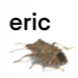eric Meme Template