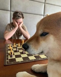 Man and dog playing chess Meme Template