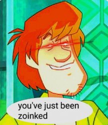 you've just been zoinked Meme Template