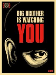 Big Brother is watching you Meme Template