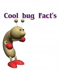 Cool Bug Fact's Meme Template