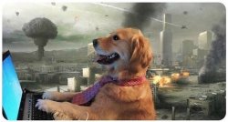 Disaster Dog Meme Template