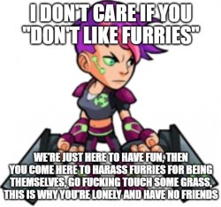 IDC if you ''don't like furries'' Meme Template