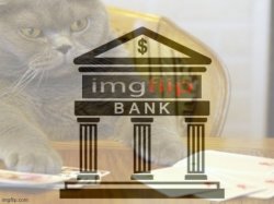 Imgflip_bank gambling cat Meme Template
