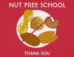 nut free school Meme Template