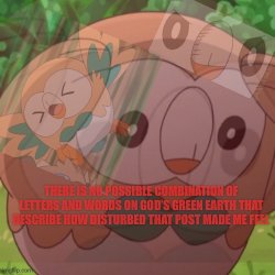 Distressed Rowlet Meme Template