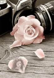 Daniel Meme Template