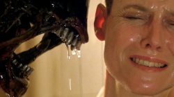 Alien 3 Shouting at Ripley Meme Template
