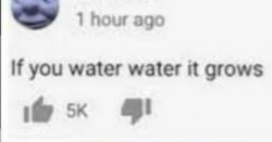 if you water water it grows Meme Template