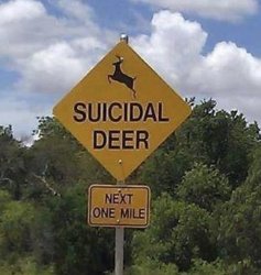 Suicidal Deer Meme Template