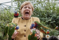 Angela Merkel Parrots Meme Template