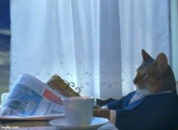 Cat reading newspaper for breakfast Meme Template