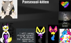 -pansexual-kitten- Meme Template