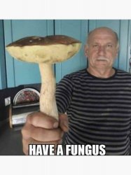 Have a fungus Meme Template