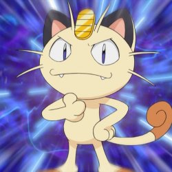 Meowth Kitties Meme Template