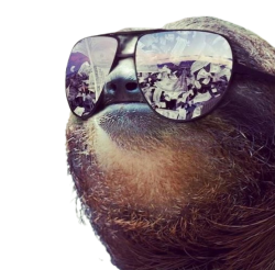 Sloth sunglasses transparent Meme Template