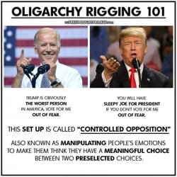 OLIGARCHY RIGGING 101 Meme Template