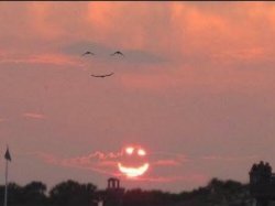 Smiling sun and birds Meme Template