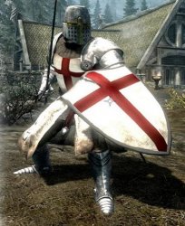crusader battle stance Meme Template