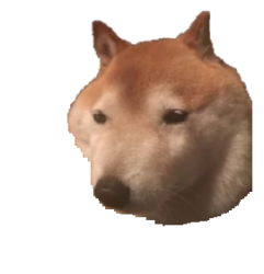 Doge Face Meme Template