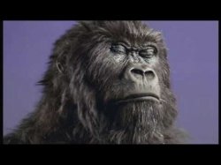 Cadbury Gorilla#AMC Meme Template