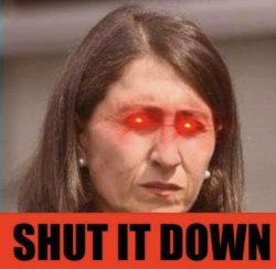 Gladys berejiklian shut it down Meme Template