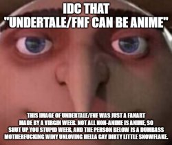 Send this to people who said "EvEn UnDeRtAlE/FnF cAn Be aNiMe!" Meme Template