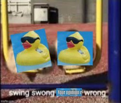 swing swong your opinion is wrong Meme Template