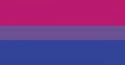 Bisexual flag Meme Template