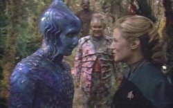 Ensign Wildman Neelix Meme Template
