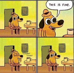 this is fine Meme Template