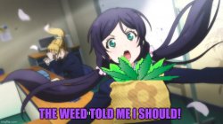 Anime weed Meme Template