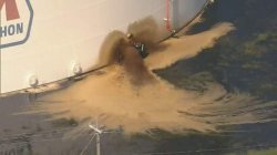 thingy Meme Template