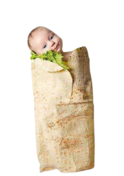 burrito baby Meme Template