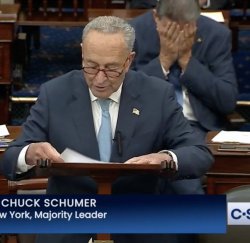Schumer Manchin Meme Template