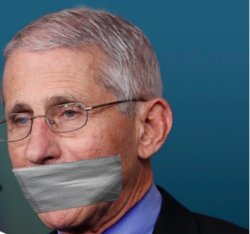 Fauci duct tape over mouth Meme Template